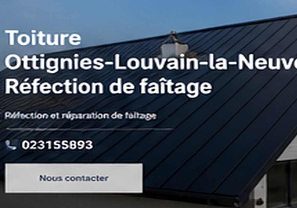 Travaux de toiture professionnels